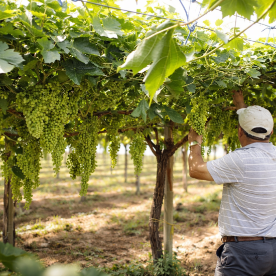 8EDDE113-EBE1-4B4A-A73C-BC4D9E199875